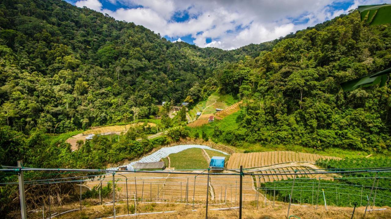 Orchid Haven Hostel Cameron Highlands Exterior photo