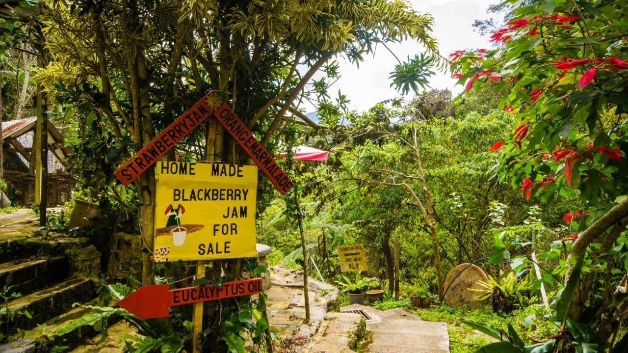 Orchid Haven Hostel Cameron Highlands Exterior photo