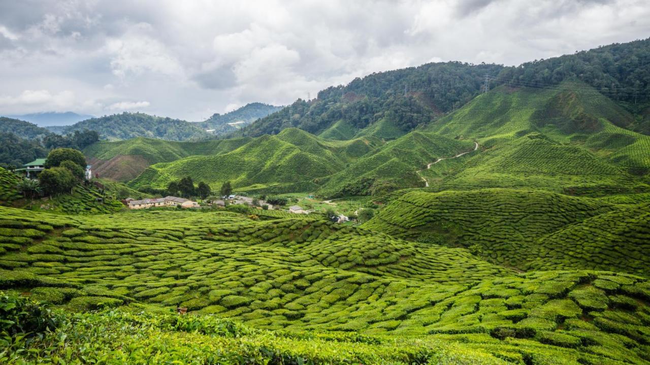 Orchid Haven Hostel Cameron Highlands Exterior photo