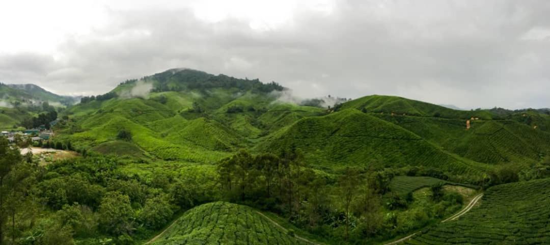 Orchid Haven Hostel Cameron Highlands Exterior photo
